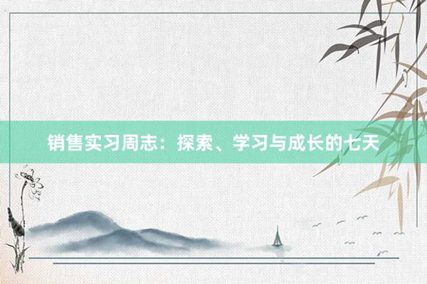 销售实习周志：探索、学习与成长的七天